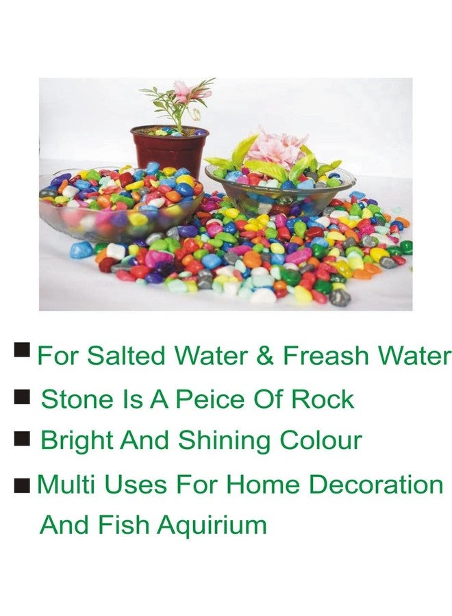 Somil Multicolor Pebbles/Stones for Garden, Plants, Lawns, Aquariums, Fish Pots, Home Decor, Vases, Furniture Filler. Size: 10-30mm, Shiny Multicolor -A325 - Image 2